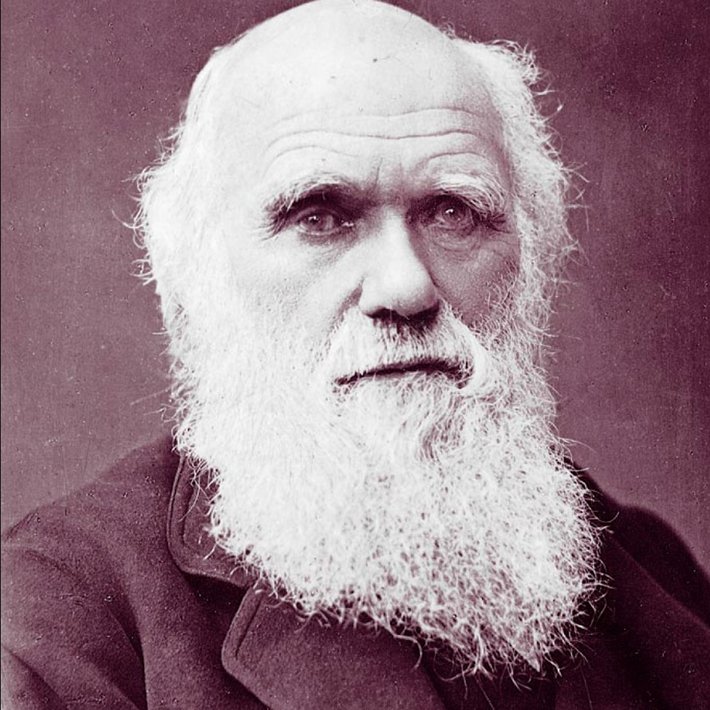 Charles Darwin photograph by Herbert Rose Barraud, 1881 (Public Domain)